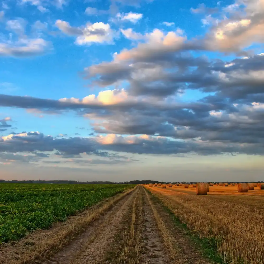 industry_agri