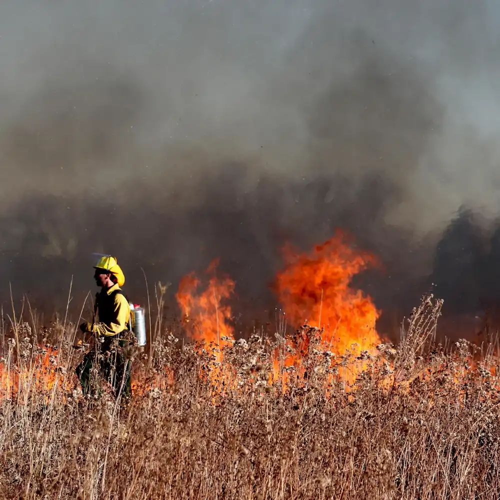 industry_fire